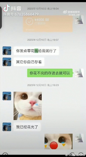 谭竹10分钟花完胖猫一周代练收入.png
