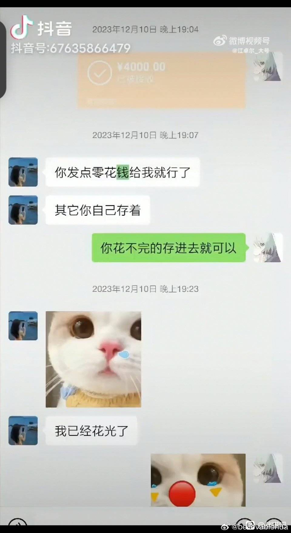 胖猫和谭竹的聊天记录 - 石头百科-维基百科